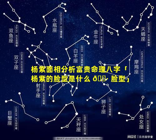 杨紫面相分析富贵命理八字「杨紫的脸型是什么 🌷 脸型」